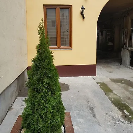 Apartment Luky 12 Brasov